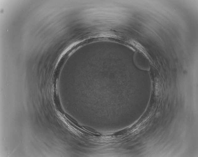 X0000060771024200511141252