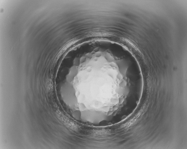 X0000060771025200511141252