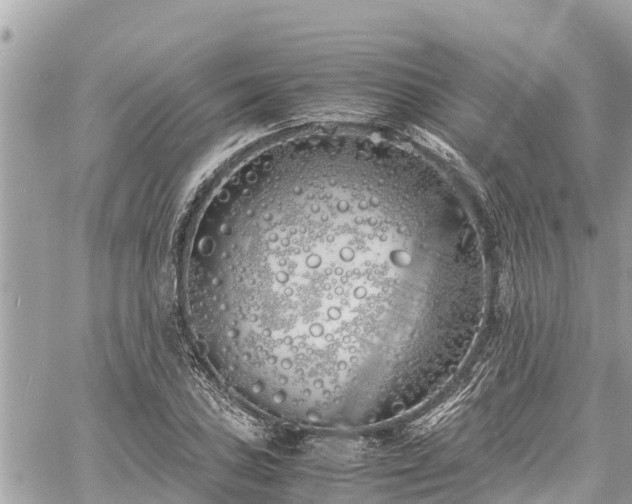 X0000060771027200511141252