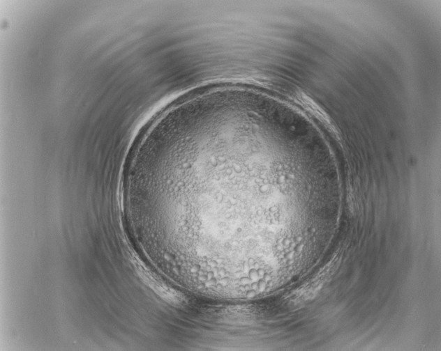 X0000060771028200511141252