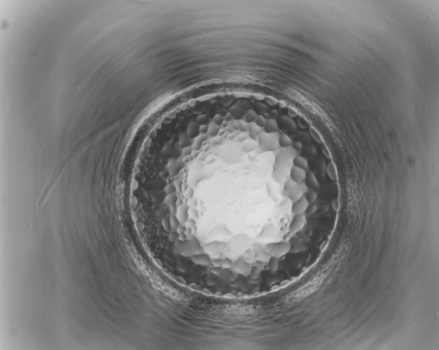 X0000060771029200511141252