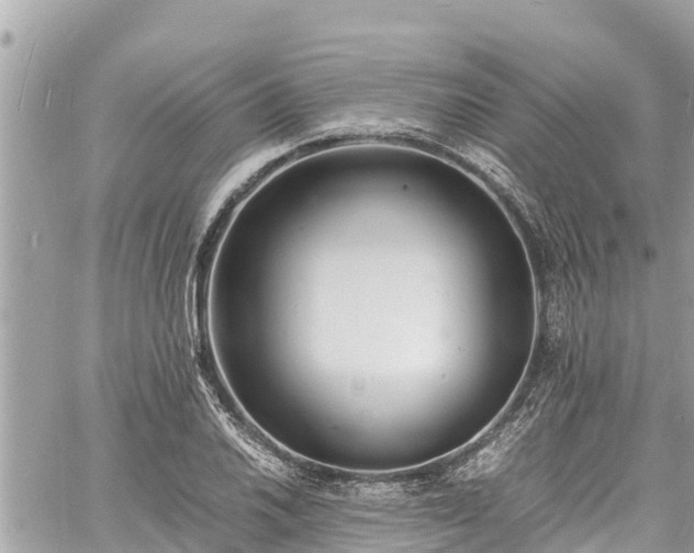 X0000060771030200511141252