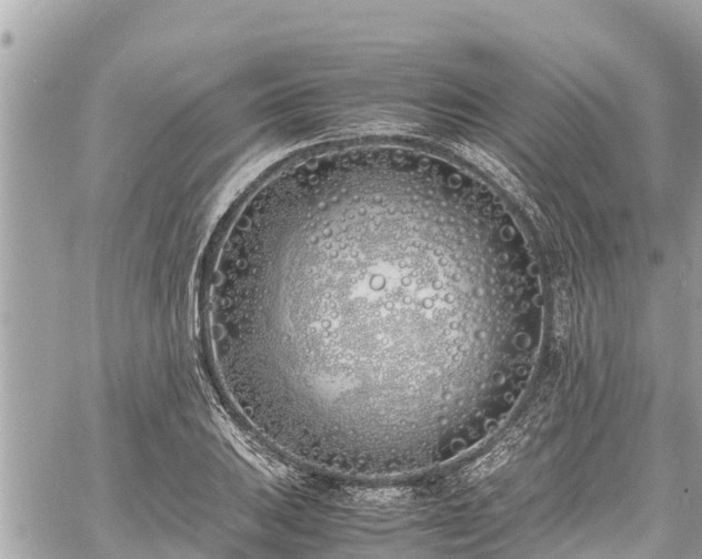 X0000060771031200511141252