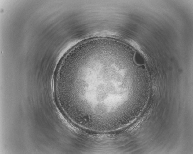 X0000060771032200511141252