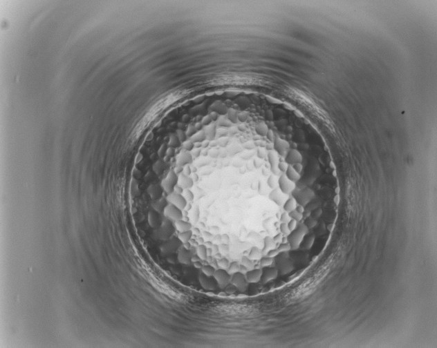 X0000060771033200511141252