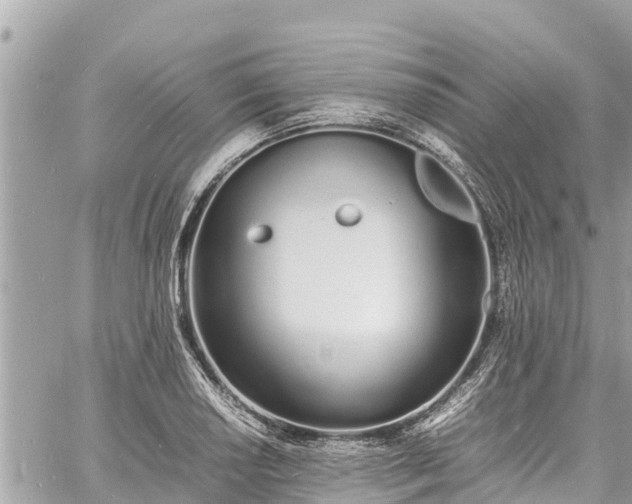 X0000060771034200511141252