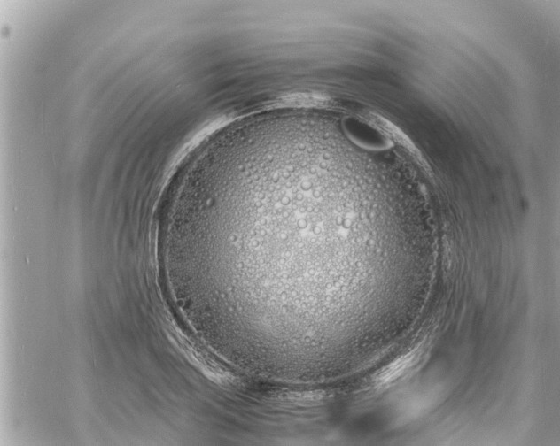 X0000060771035200511141252