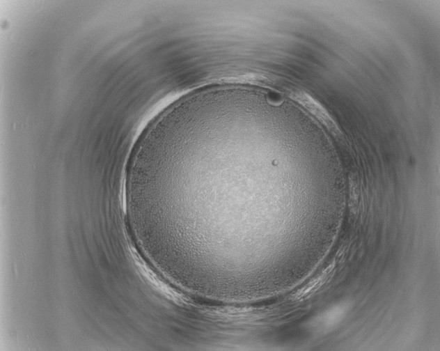 X0000060771036200511141252