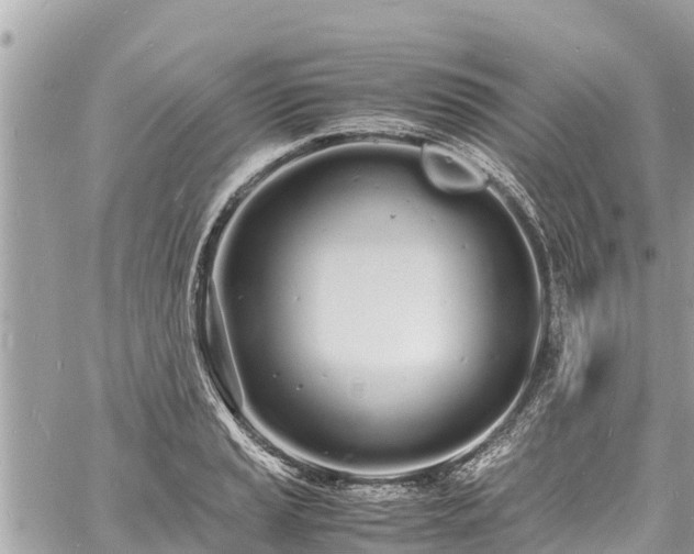 X0000060771037200511141252