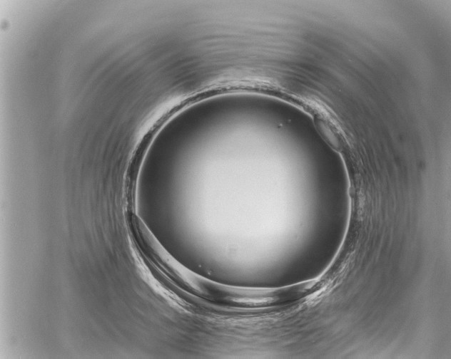 X0000060771038200511141252