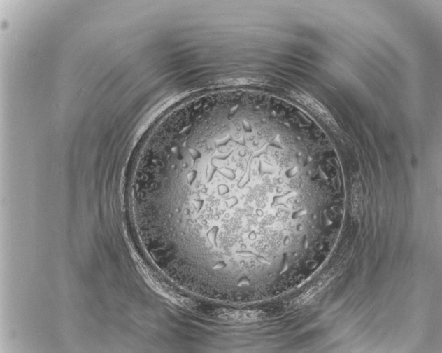 X0000060771039200511141252