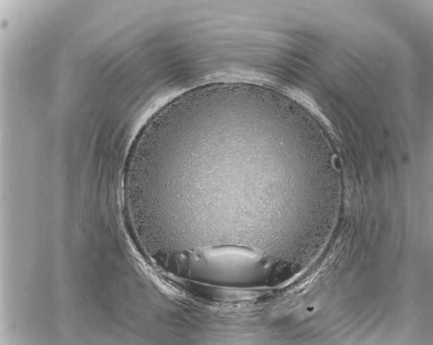 X0000060771040200511141252