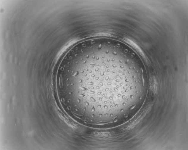 X0000060771043200511141252