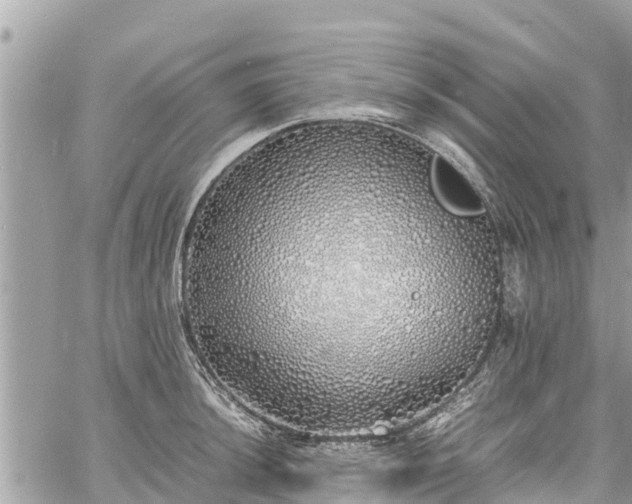 X0000060771044200511141252