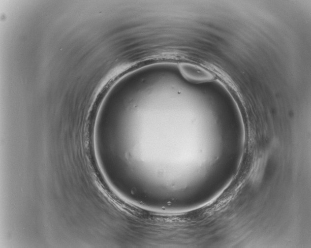 X0000060771045200511141252