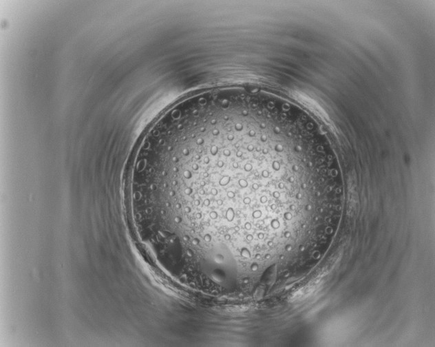 X0000060771047200511141252