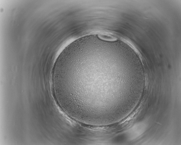 X0000060771048200511141252