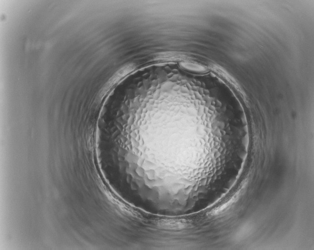 X0000060771049200511141252