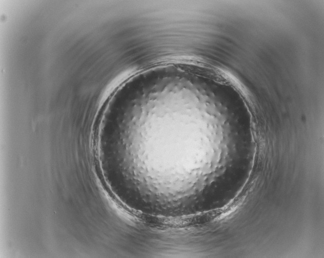 X0000060771050200511141252