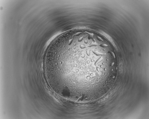 X0000060771051200511141252