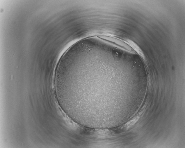 X0000060771052200511141252