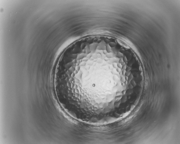 X0000060771053200511141252