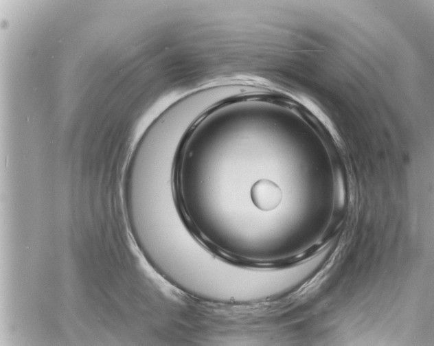 X0000060771054200511141252