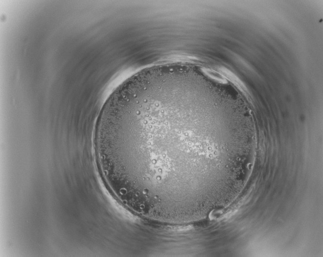 X0000060771055200511141252