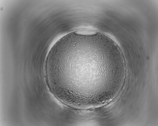 X0000060771056200511141252