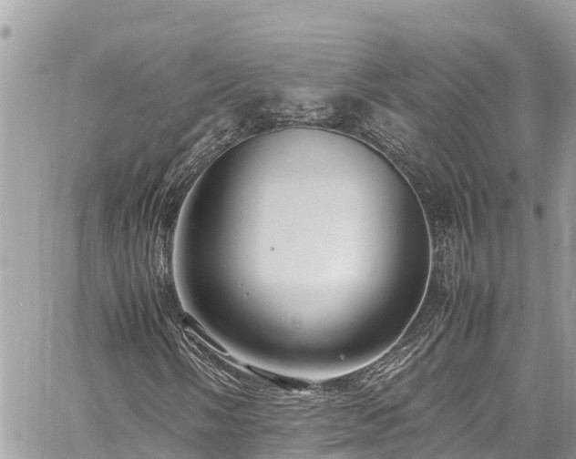 X0000060771058200511141251