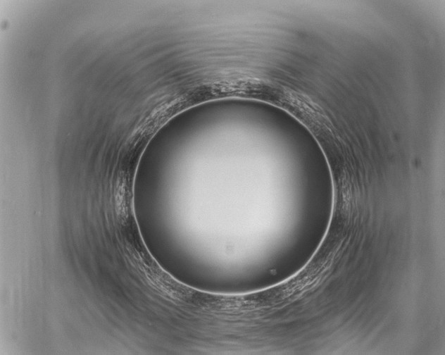 X0000060771060200511141251