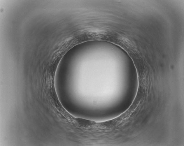 X0000060771061200511141251