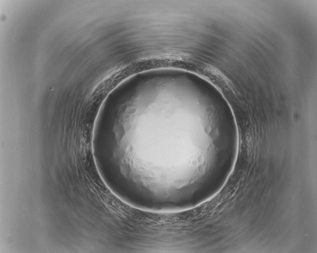 X0000060771064200511141251