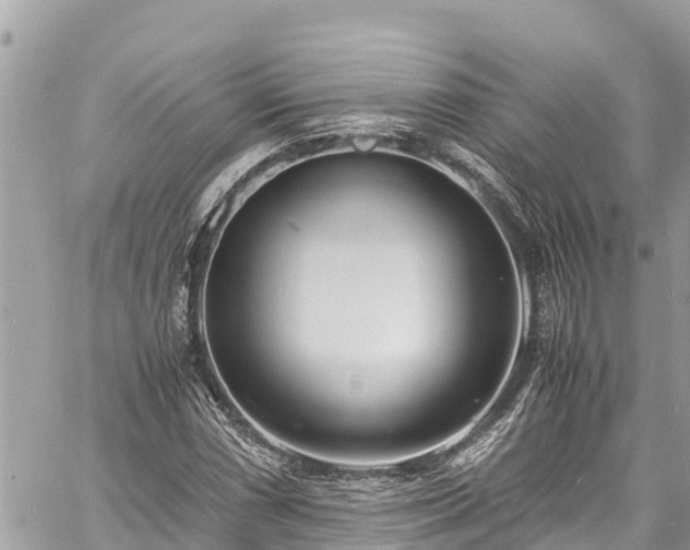 X0000060771066200511141251