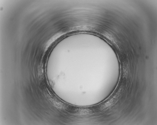 X0000060771070200511141251