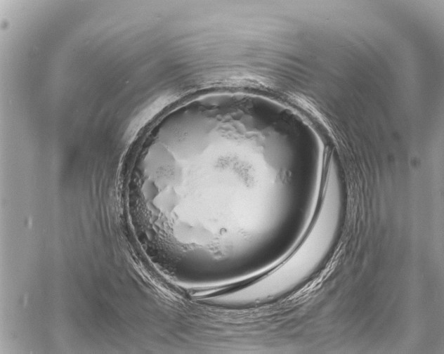 X0000060771071200511141251