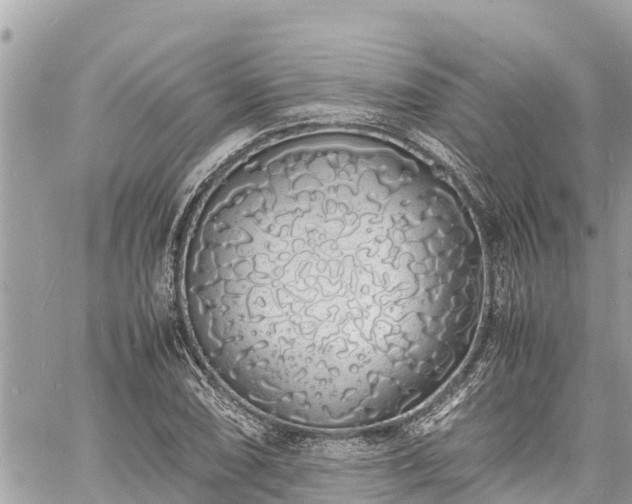 X0000060771074200511141251