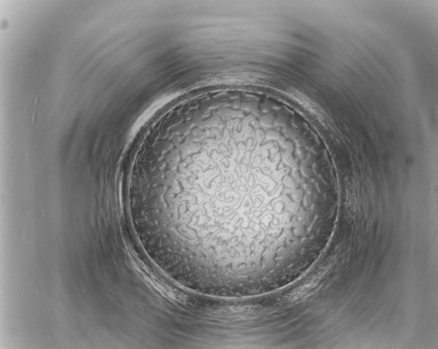 X0000060771078200511141251