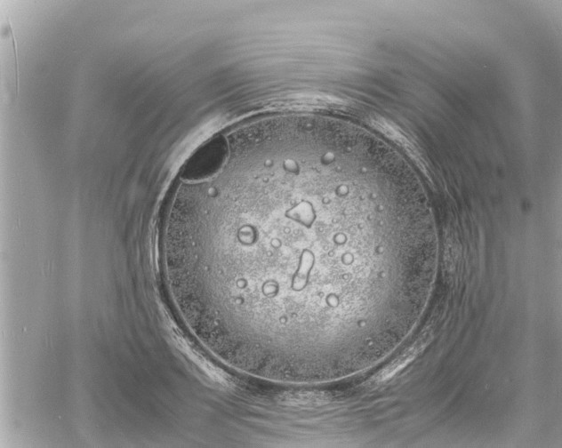 X0000060771083200511141251