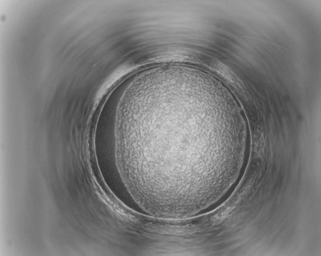 X0000060771086200511141251