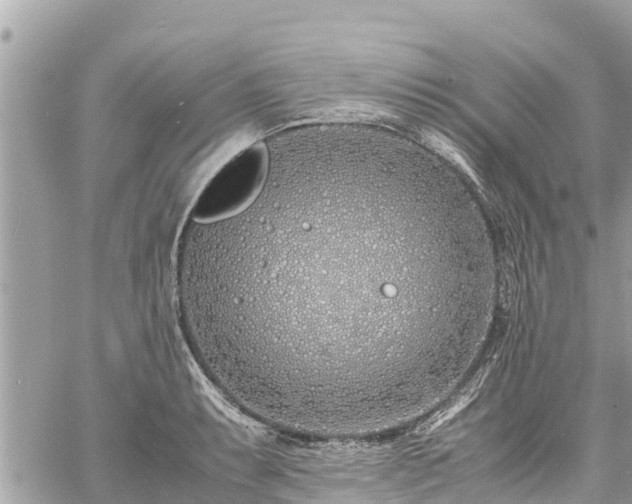 X0000060771087200511141251