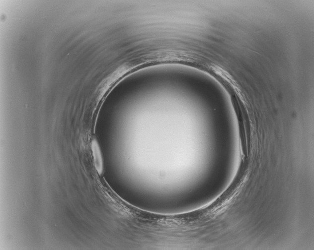 X0000060771089200511141251