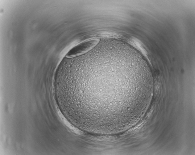 X0000060771091200511141251