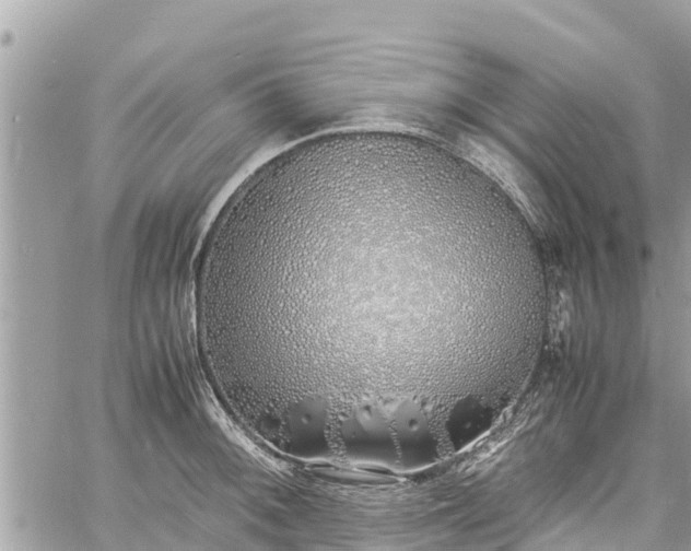 X0000060771092200511141251