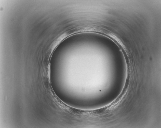 X0000060771097200511141251