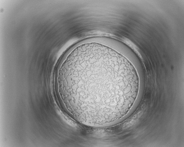 X0000060771098200511141251