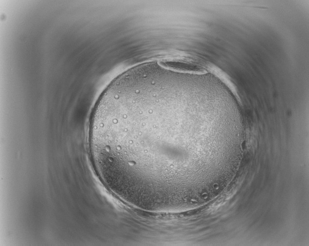 X0000060771099200511141251