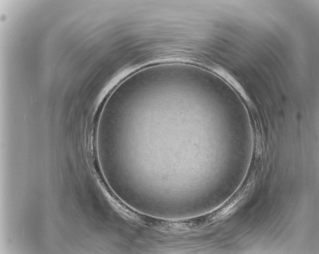 X0000060771101200511141251