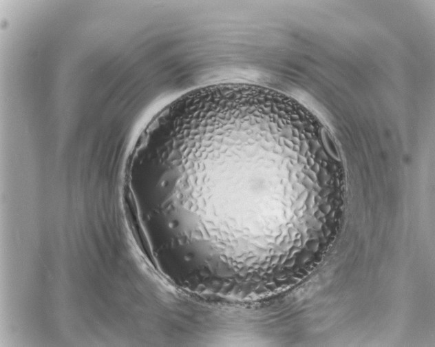 X0000060771104200511141251