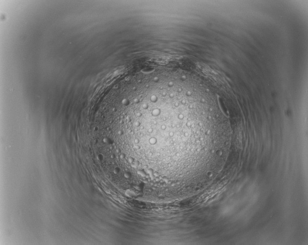 X0000060771105200511141250